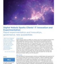 Digital Nebula Sparks Clients’ IT Innovation and Experimentation 