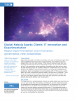 Digital Nebula Sparks Clients’ IT Innovation and Experimentation